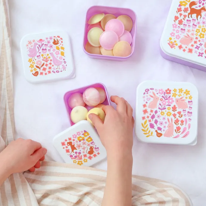 A Little Lovely Company Charlie Lunch & Snack Box flower garden