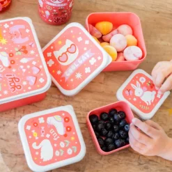 A Little Lovely Company Charlie Lunch & Snack Box fun