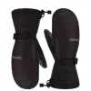 Dakine Titan Gore-Tex Mitt black