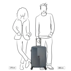Decent Tourister Medium Trolley 66 blue