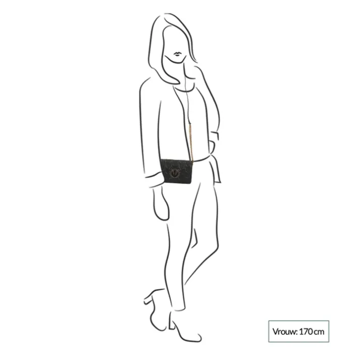 Pinko Love Click Mini Chevron black
